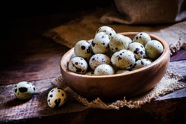 BILDIRCIN Yumurtası (12 Adet)